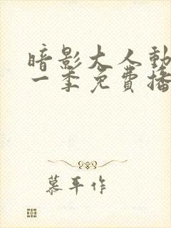 暗影大人动漫第一季免费播放