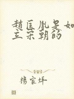 赵匡胤是如何建立宋朝的封面