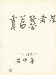 舌苔发黄厚腻口臭口苦