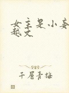 女主是小妾的穿越文封面