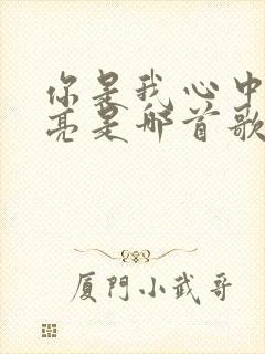 你是我心中的月亮是哪首歌的歌词