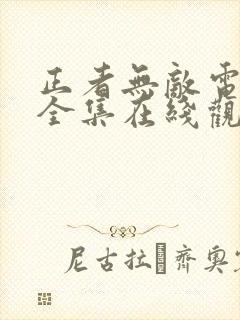 正者无敌电视剧全集在线观看免费