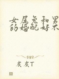 女属兔和男属蛇的婚配好不好呀