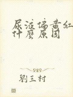 尿液偏黄红色是什么原因