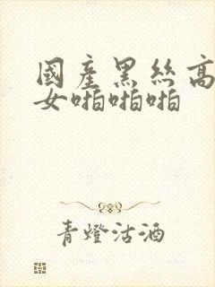 国产黑丝高跟美女啪啪啪