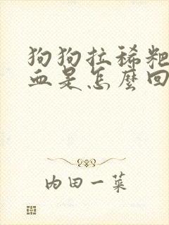 狗狗拉稀粑粑带血是怎么回事封面