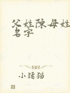 父姓陈母姓龙取名字封面