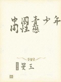 中国青少年男男同性恋