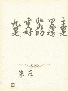 九重紫男主弟弟是好的还是坏的