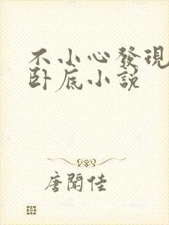 不小心发现她是卧底小说