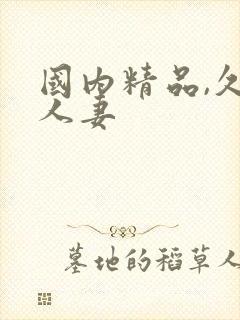 国内精品,久久人妻