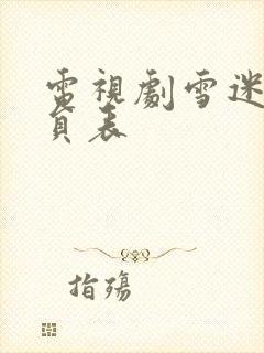 电视剧雪迷宫演员表封面