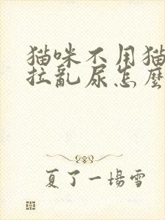 猫咪不用猫砂乱拉乱尿怎么办