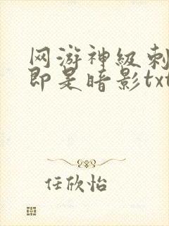 网游神级刺客我即是暗影txt下载