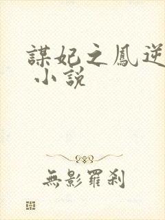 谋妃之凤逆天下 小说