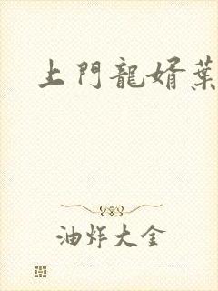 上门龙婿叶最新