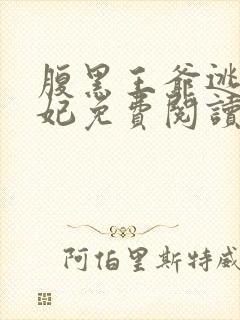 腹黑王爷逃跑王妃免费阅读