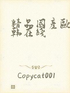 精品国产欧美日韩在线封面