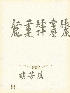 肚子经常胀气放屁是什么原因引起的封面