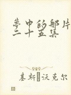 梦中的那片海第二十五集