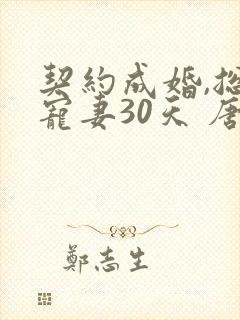 契约成婚,总裁宠妻30天 唐小甜