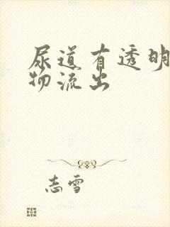 尿道有透明分泌物流出