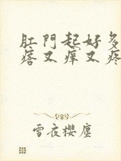 肛门起好多小疙瘩又痒又疼怎么回事封面