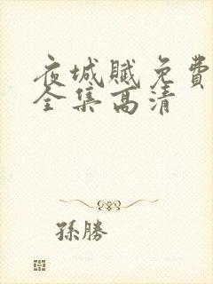 夜城赋免费观看全集高清封面