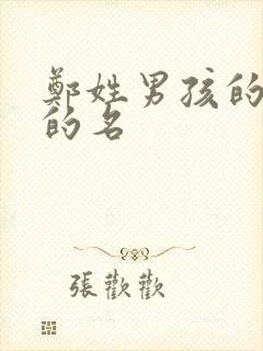 郑姓男孩的好听的名