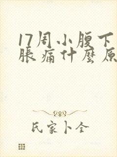 17周小腹下坠胀痛什么原因封面