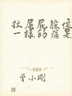 拉屎屁股像撕裂一样的痛是怎么回事