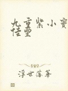 九重紫小窦昭刘佳玺