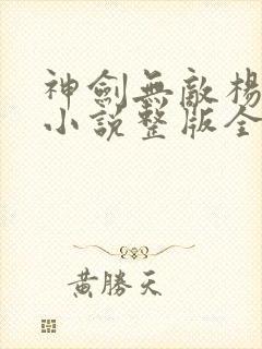 神剑无敌杨小天小说整版全文下载