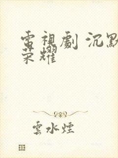 电视剧 沉默的荣耀封面