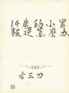 14岁的小男孩叛逆怎么办