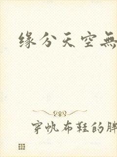 缘分天空无删减