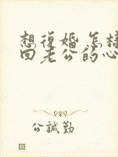 想复婚 怎样挽回老公的心封面