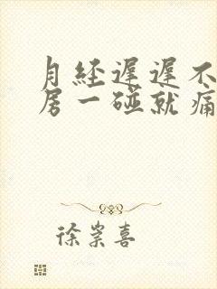 月经迟迟不来乳房一碰就痛