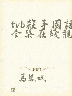 tvb杀手国语全集在线观看