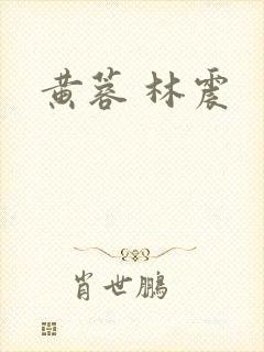 黄蓉 林震