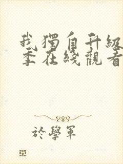 我独自升级第一季在线观看全集免费播放封面