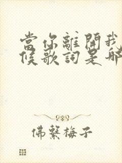 当你离开我的时候歌词是哪首歌封面