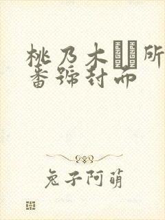 桃乃木かな所有番号封面