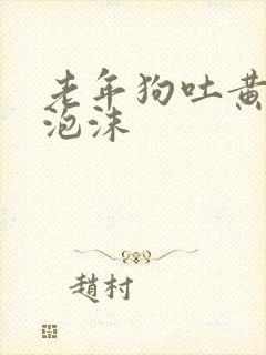 老年狗吐黄水带泡沫