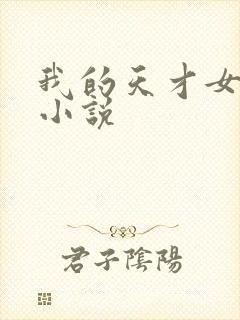 我的天才女友 小说