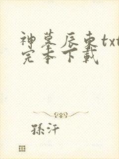 神墓辰东txt完本下载