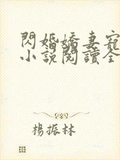 闪婚娇妻宠上天小说阅读全文封面