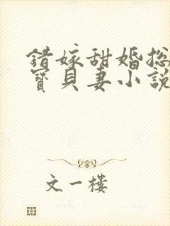 错嫁甜婚总裁的宝贝妻小说完整版封面