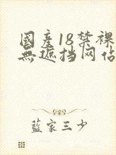 国产18禁裸体无遮挡网站