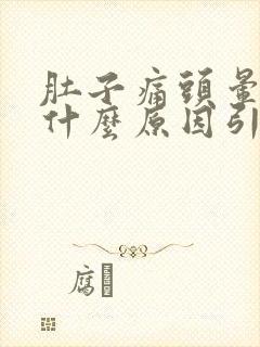 肚子痛头晕呕吐什么原因引起的